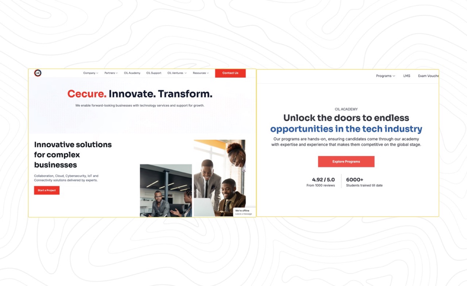 Cecure Intelligence Limited website screenshot