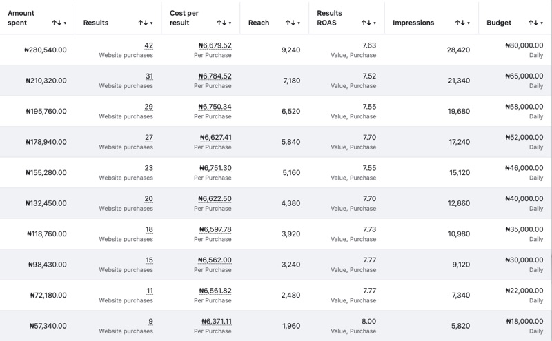 Client result: 62 purchases from Meta Ads
