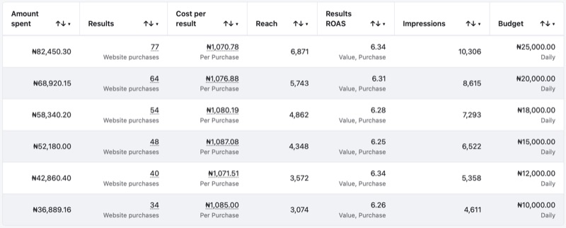 Client result: 6x ROAS from Meta Ads